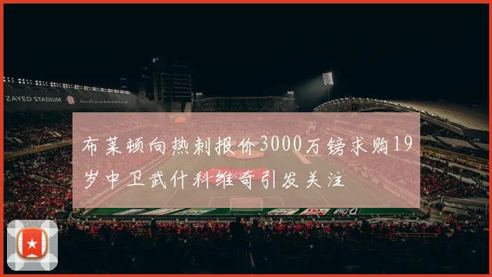 布莱顿向热刺报价3000万镑求购19岁中卫武什科维奇引发关注