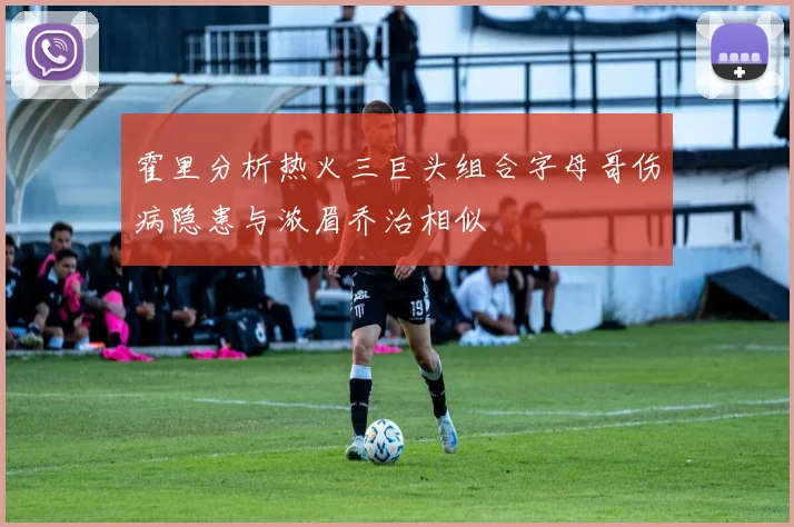霍里分析热火三巨头组合字母哥伤病隐患与浓眉乔治相似